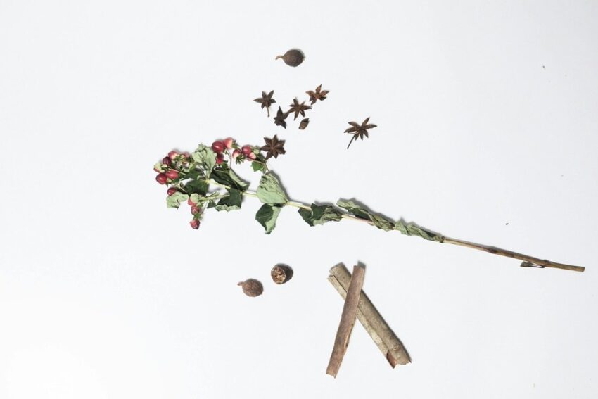 Adaptogens for anxiety natural relief
