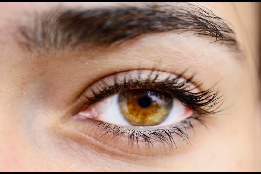 Foods for Eye Health Plate